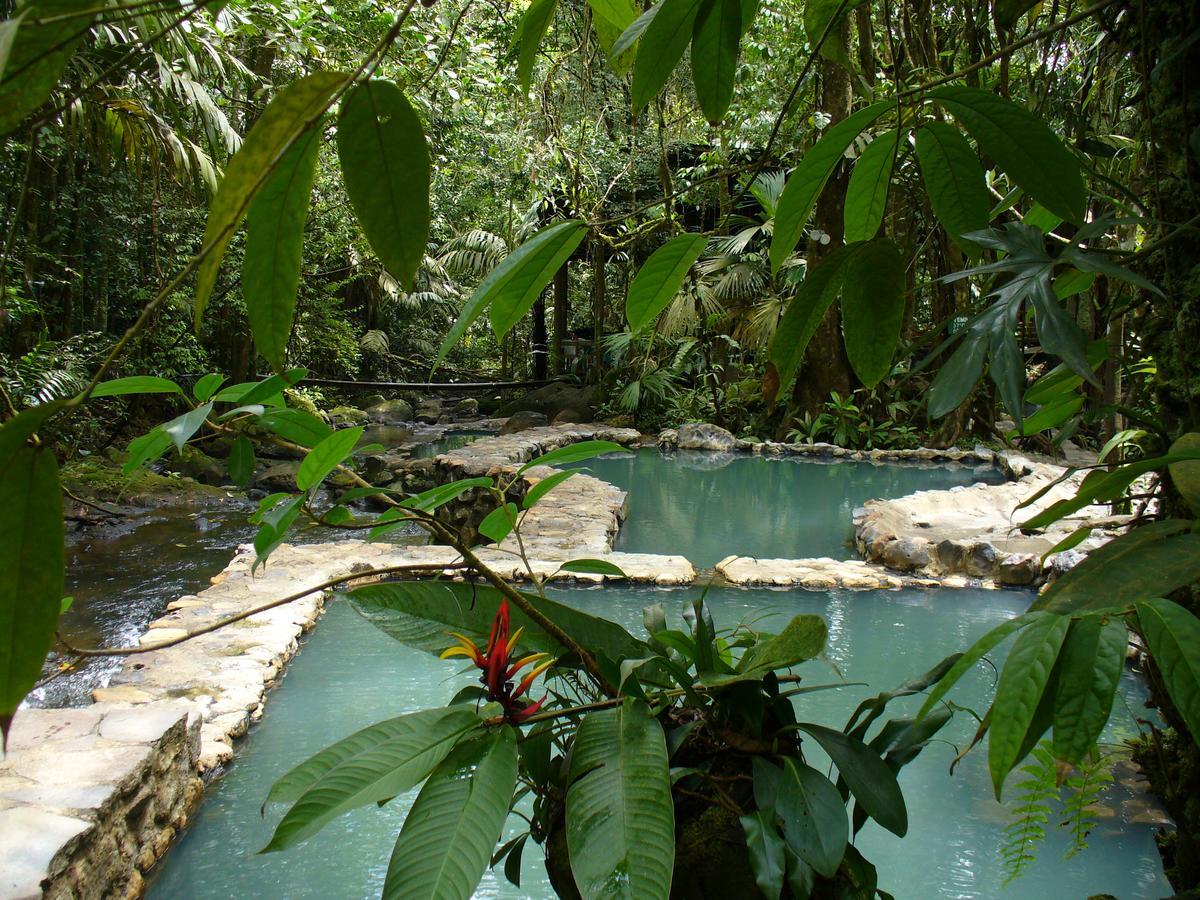 La Marina Termales Del Bosque & Hot Springs酒店 外观 照片